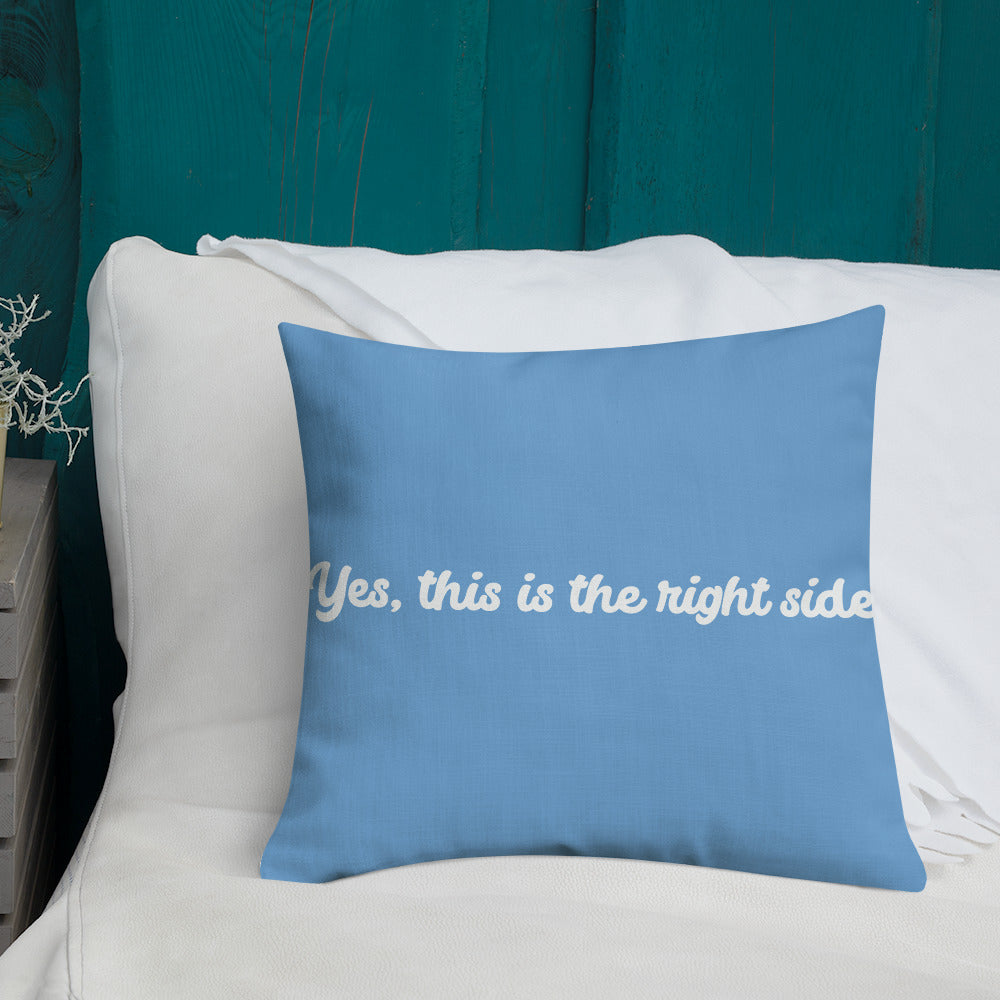 Fall asleep premium pillow