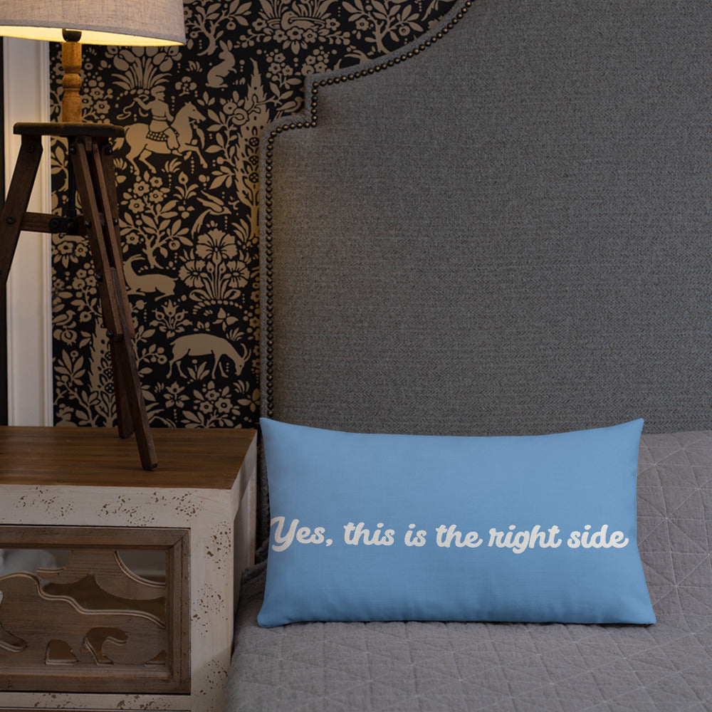 Fall asleep premium pillow