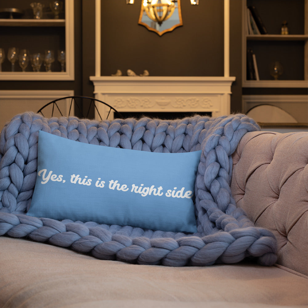 Fall asleep premium pillow