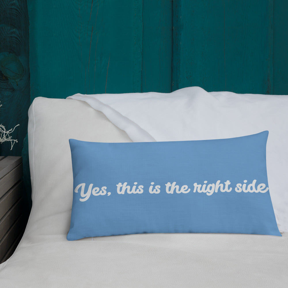 Fall asleep premium pillow