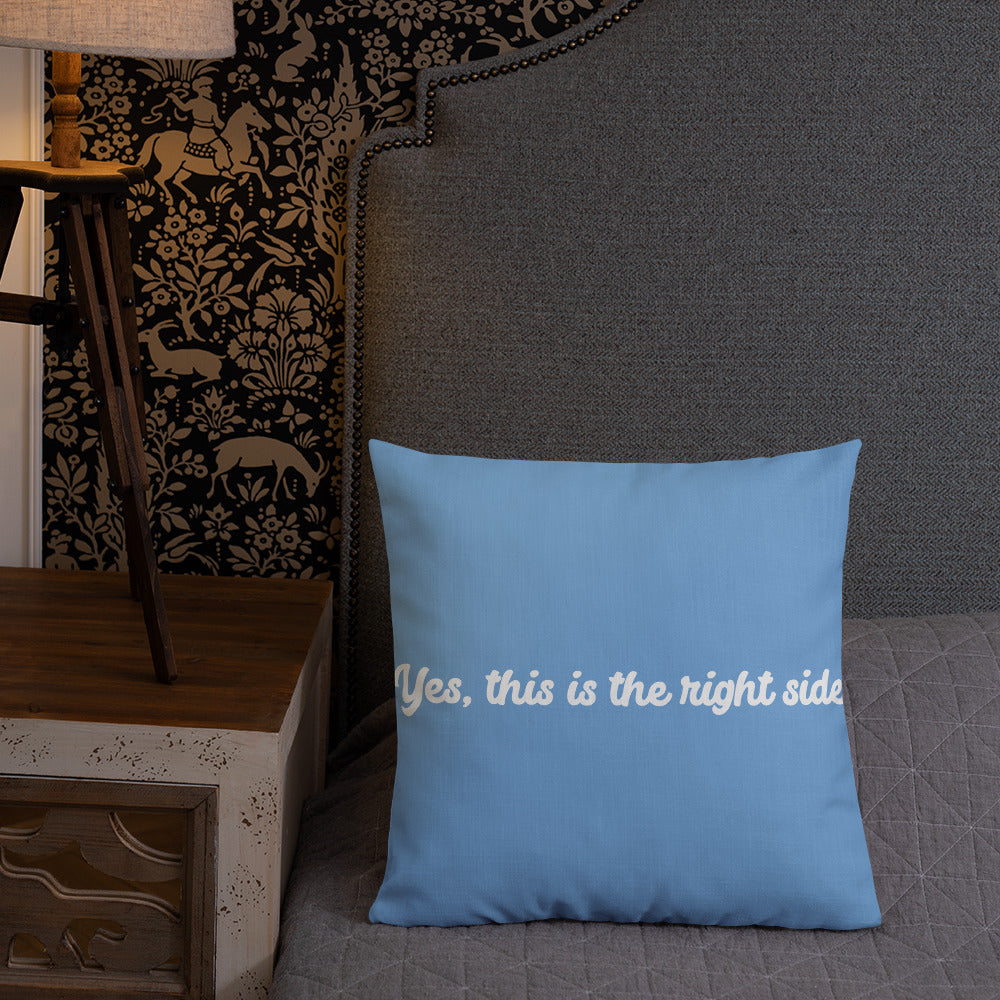 Fall asleep premium  pillow