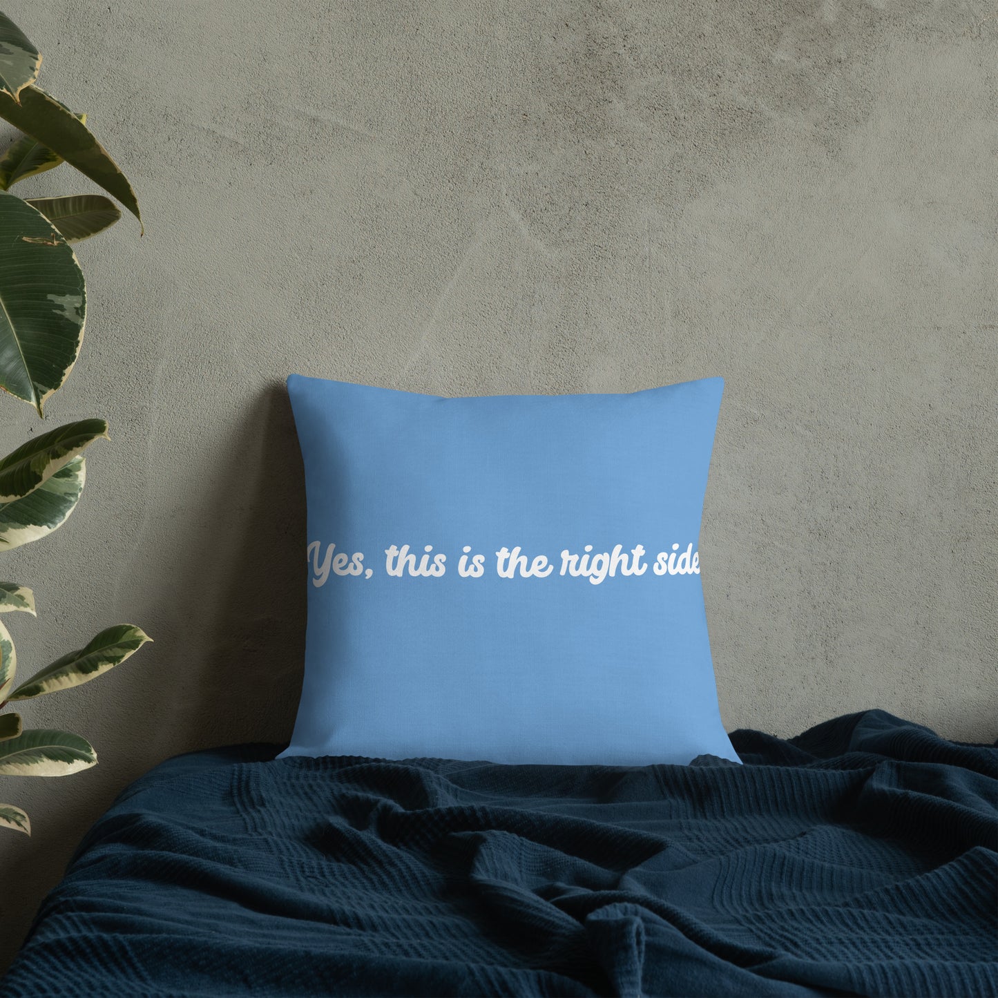 Fall asleep premium  pillow