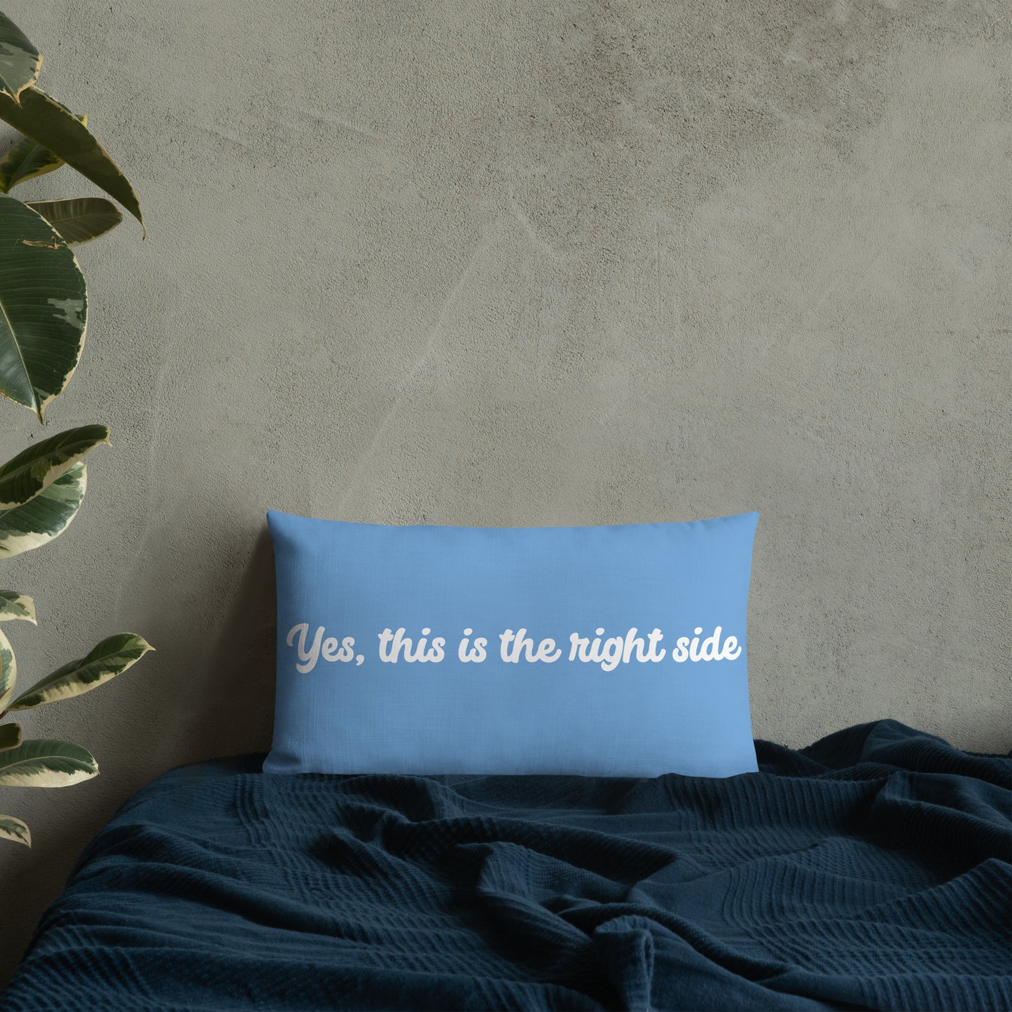 Fall asleep premium  pillow