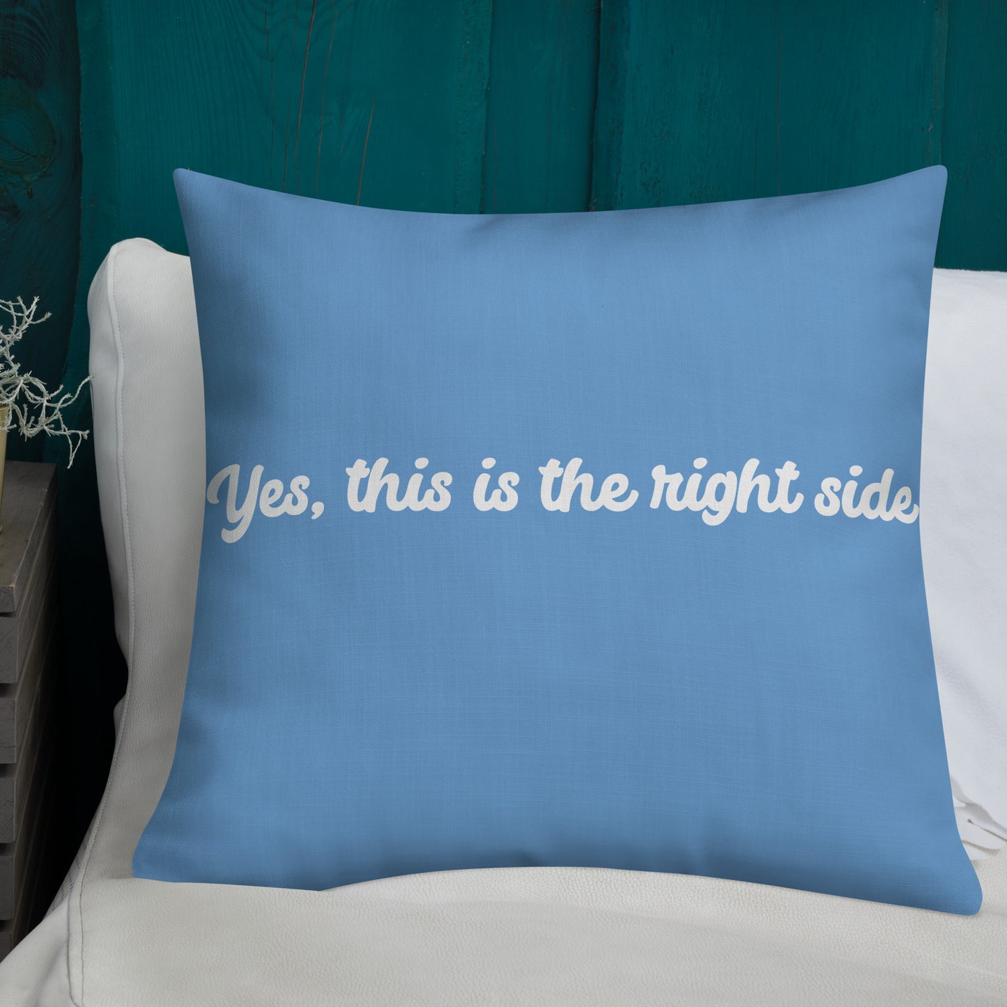 Fall asleep premium  pillow